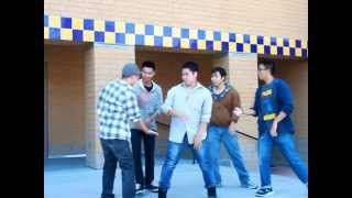 Level V Origins (LVO) School of Dance