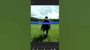 Warp Stabilizer for Cinematic Videos!