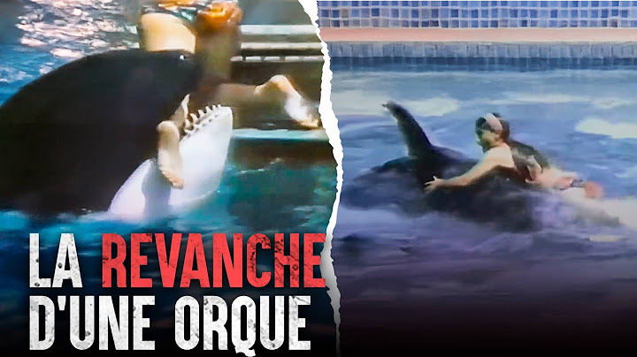 Les attaques d’orques les plus mortelles