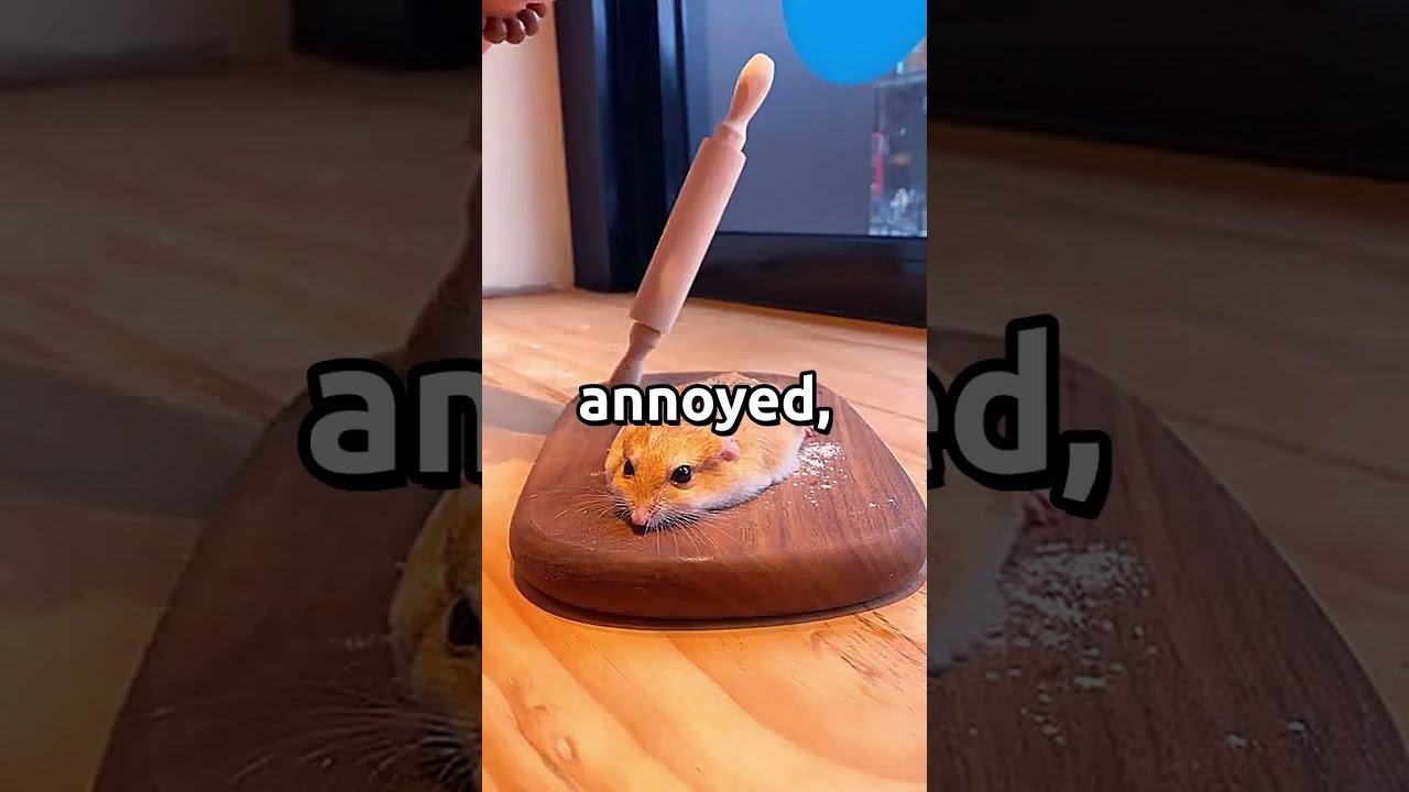 What S Your Best Not On My Watch Moment 