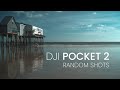 DJI Pocket 2 | Random Shots | Cinematic |  4K