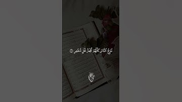 تلاوة خاشعة 🤍سورة القمر القارئ اسلام صبحي #سورة_القمر #قرآن #تلاوة #قرآن_كريم #Quran
