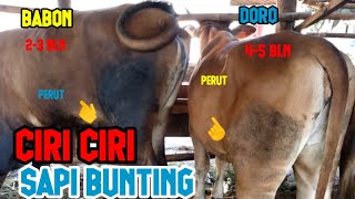 CHARACTERISTICS OF A 4-5 MONTHS PREGNANT DORO COW AND A 2-3 MONTHS BABOON