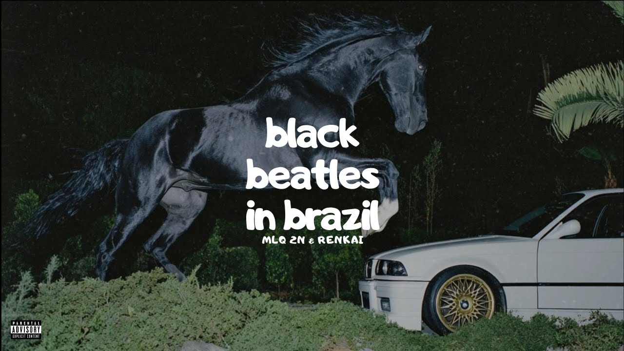 Black Beatles (Brazilian Funk Remix) (Prod. MLQ 2N & Renkai) - YouTube