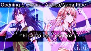 Video thumbnail of "Citrus Opening Cover (Español Latino) -Fandub-"