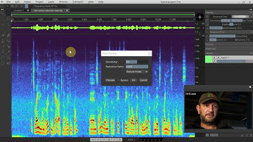 Spectralayers Pro 7 Voice Denoiser - removing rain noise