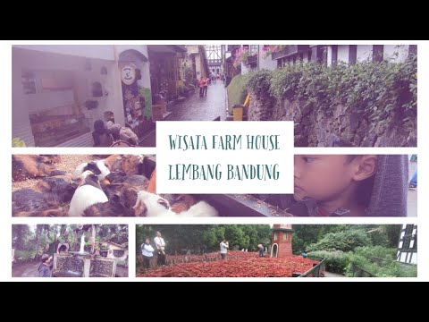 Farm House Lembang Youtube Farm House Lembang Youtube