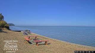 LIVE Dungeness Bay Webcam from Juan de Fuca Cottages Sequim WA Coastal Views
