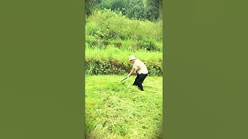 the perfect smart tool for collecting freshly cut grass #shorts