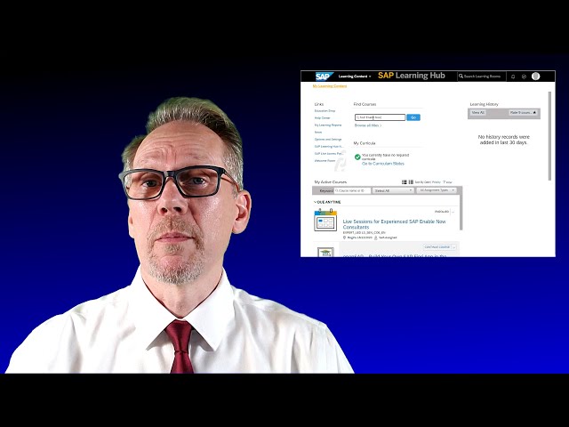 SAP Learning Hub - A personal opinion class=