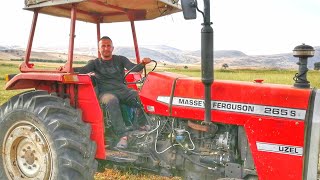 Mey Ferguson 265 S Kullanıcı Yorumu Balye Basma
