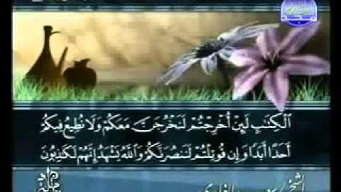 سورة الحشر الشيخ سعد الغامدي Al Hashr