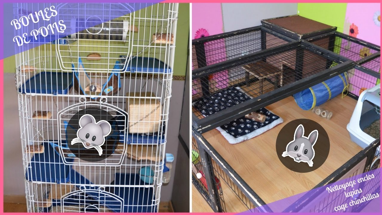 ➳ NETTOYAGE ENCLOS LAPINS ET CAGE CHINCHILLAS  [ ♥ BOULES DE POILS ♥ ]