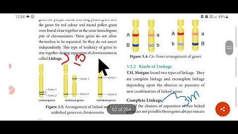 12th std| Chapter 3| Chromosomal basis of inheritance | book back evaluation|