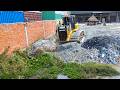 Perfectly Complete Project! Skills SHANTUI C3 PRO Pushing Soil Stone into water &amp; 25T Truck