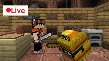 Playing Seeker In Hide And Seek | Minecraft | The Hive