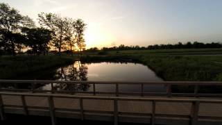 Above the Nipper Wildlife Sanctuary