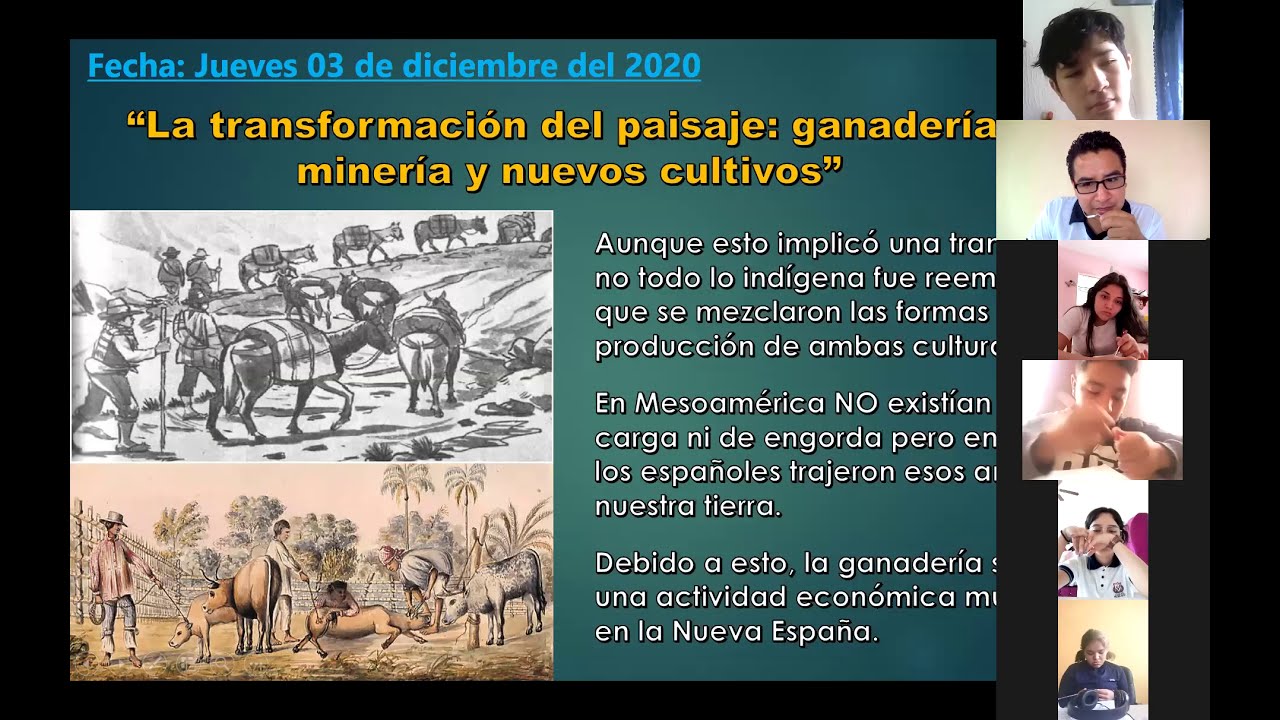 Transformacion Del Paisaje Ganaderia Mineria Y Nuevos Cultivos