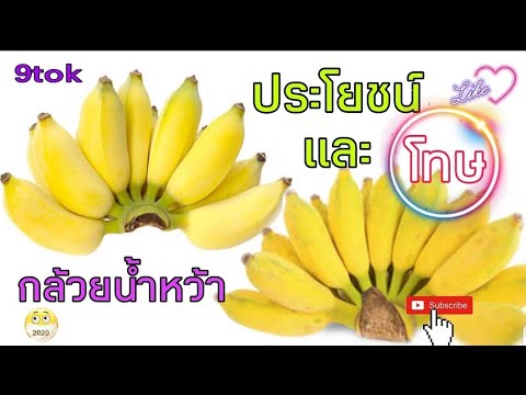 กล้วยน้ำหว้า เด็กทารกต้องระวัง ย่อยยากทำให้ท้องอืด