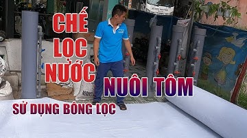 Chế cây lọc nước hồ nuôi tôm chi phí thấp sử dụng bông gòn để lọc