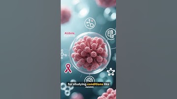 How Brain Organoids Are Changing Neuroscience