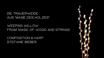 Weeping Willow from "Magic of Wood and Strings"