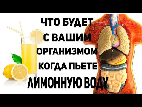 Что происходит с Вашим телом, когда вы пьете лимонную воду? Вода с лимоном, польза или вред