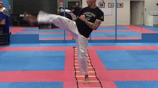 The BEST Martial Arts Agility Ladder Drills