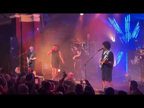 Swiss und die Anderen feat. Moonkid - Nett werden (Live @ Felsenkeller Leipzig - Punk ist tot Tour)