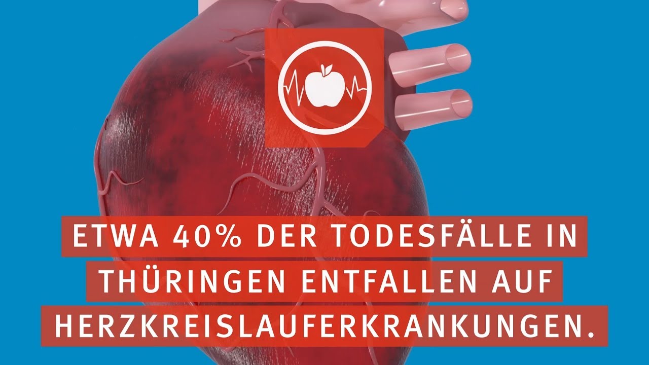 InnoSTORIE Thüringen zum Thema „Herzgesunde Ernährung“ erfurt wallrock fibreliner