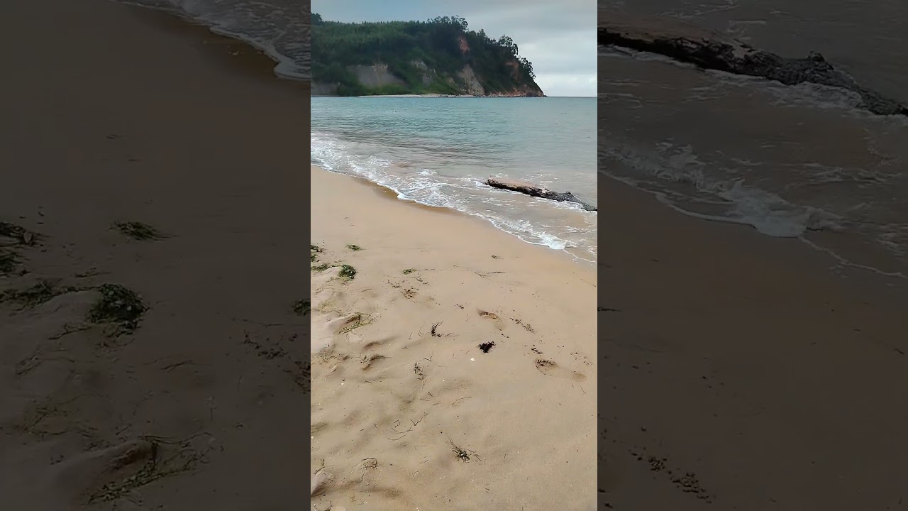 El tronco donde descansar _ Playa Rodiles _ Villaviciosa_Asturias_ #España #villaviciosa #asturias