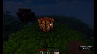 InvisibleItemFramesLite Paper Plugin Demo [1.21+]