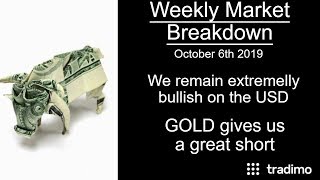 Extremely BULLISH on the USD! | Weekly Market Breakdown (Nov. 06)