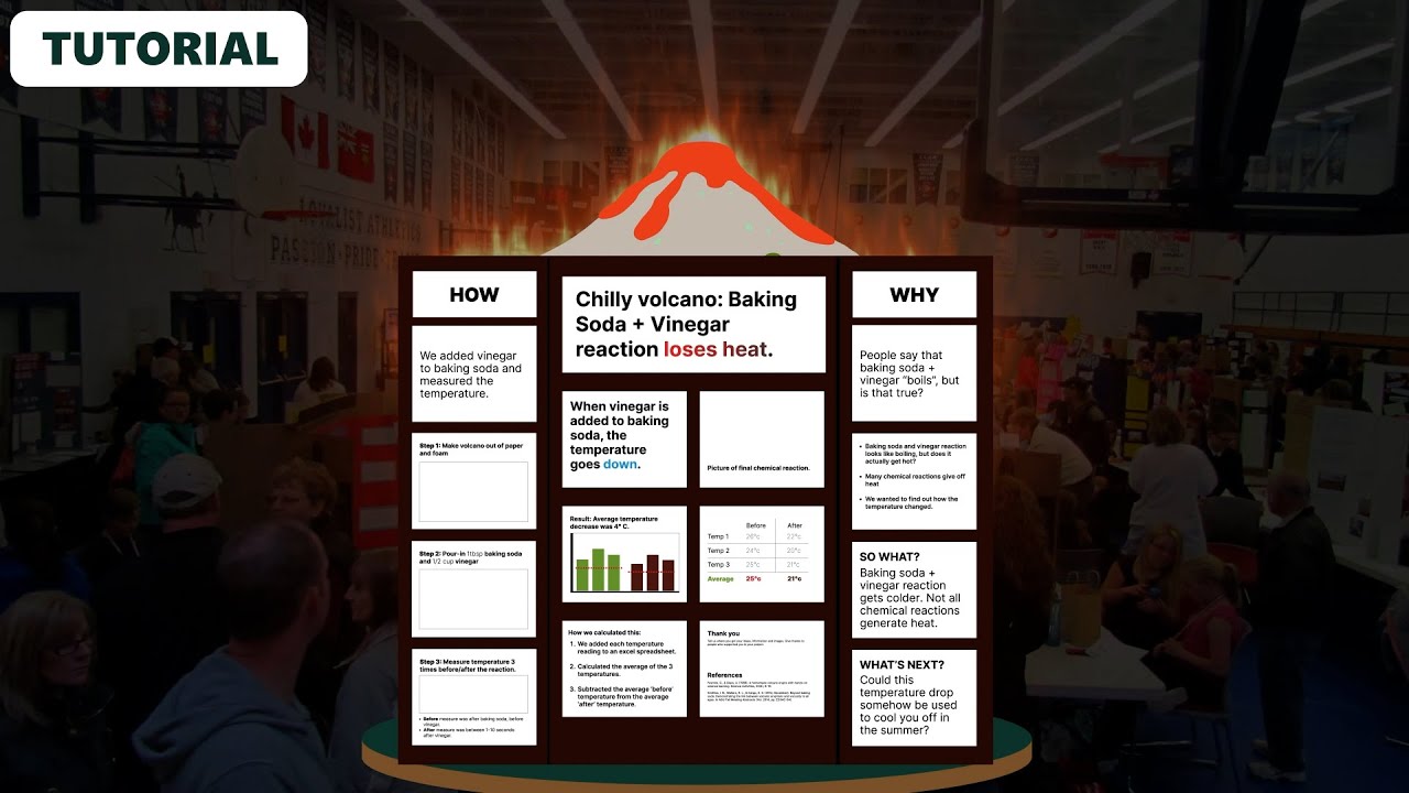 9 Poster Board ideas  poster board, science fair, tri fold poster