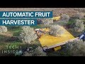 These Machines Shake Olives Off Trees And Collect Them In Giant Sheets