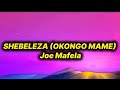 Joe Mafela Shebeleza Okongo Mame Lyrics