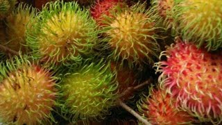 Easy Rambutan Peeling Tutorial