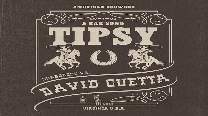 Shaboozey feat. David Guetta - A Bar Song (Tipsy) [Remix]