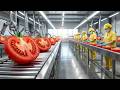 Inside a Tomato Processing Factory — From Fresh Harvest to Canned Products