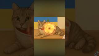 ой ой ой борщяра Котяра #memes