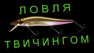 видео: Снасть для твичинга / Советы начинающим спиннингистам картинка: Снасть для твичинга / Советы начинающим спиннингистам