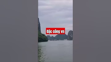 ĐẶC CÔNG VN/ VÀO ĐỒN GIẶC PHẢI SỜ TỪNG CHÂN PHÁO ĐẾM TỪNG LỖ CHÂU MAI #hồiức #kccm #đặccôngvn