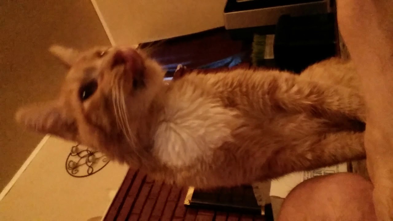 Baby beaker makes a sweet sound - YouTube