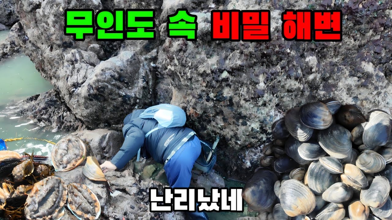 바닷물이 밀려나가 잠겨있던 무인도에 대박났습니다