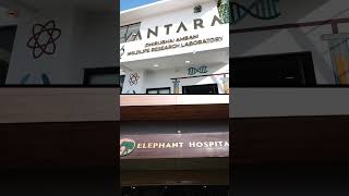 From danger to care, thanks to Vantara. #LeopardRescue #AnantDadaEra #AnantAmbani