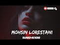 Mohsin Lorestani Slowed Reverb Song Lofi Song Cz Music Slowed Reverb Songs Persian Song 