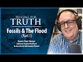 Fossils and the flood part one digging for truth episode 220