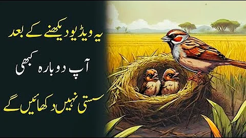 You Will Never Be LAZY After Watching This | Buddhist story on Laziness #motivation