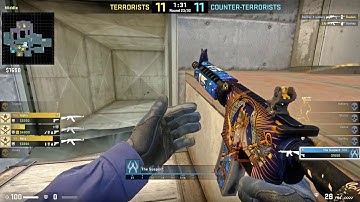 CSGO Overwatch #17 - Expensive Skins And Hacking?