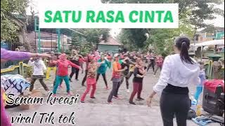 SATU RASA CINTA / SENAM KREASI / VIRAL TIK TOK